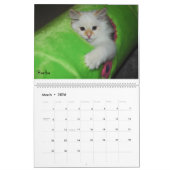 Calendrier sibérien 2008 de chats (Mar 2026)