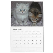 Calendrier sibérien 2009 de chats (Feb 2027)