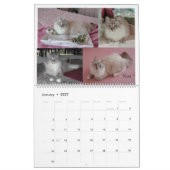 Calendrier sibérien 2009 de chats (Jan 2027)