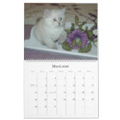 Calendrier sibérien B de chats et de chatons 2010 (Mar 2026)