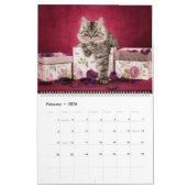 Calendrier Sibérien des chatons (Feb 2026)
