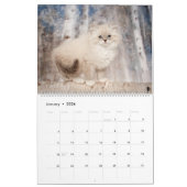 Calendrier Sibérien des chatons (Jan 2026)
