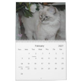 Calendrier SIBÉRIEN des CHATS 2007… (Feb 2027)
