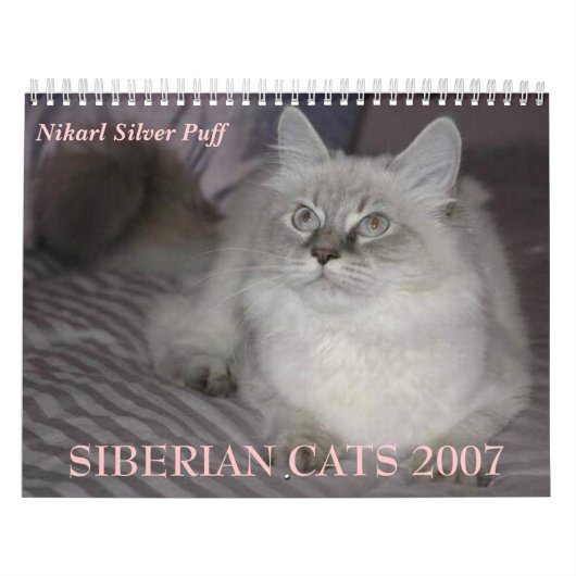 Calendrier SIBÉRIEN des CHATS 2007… (Protection)