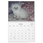 Calendrier SIBÉRIEN des CHATS 2007… (Jan 2027)