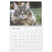 Calendrier Sibérien des chats 2019 (Mar 2026)