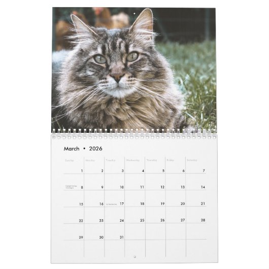 Calendrier Sibérien des chats 2019 (Mar 2026)