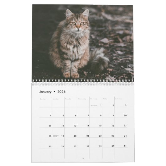 Calendrier Sibérien des chats 2019 (Jan 2026)