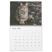 Calendrier Sibérien des chats 2019 (Jan 2027)