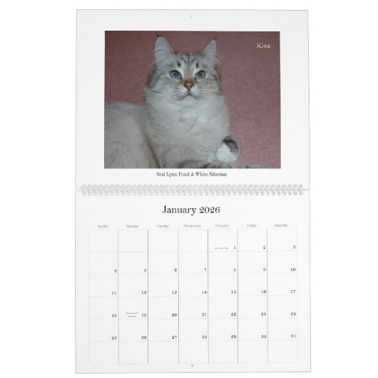 Calendrier sibérien Final2 de chats et de chatons (Jan 2026)