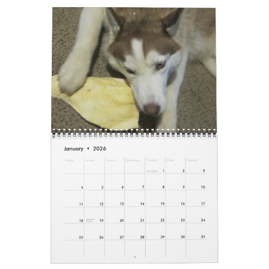 Calendrier Sibérien husky grandissant (Jan 2026)