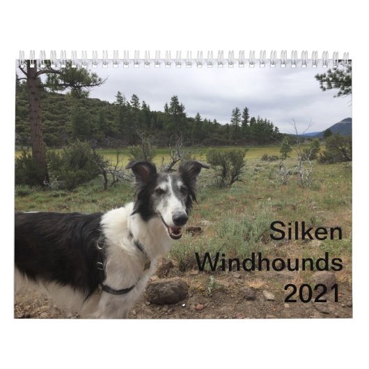 Calendrier Silken Windhounds 2021 Adultes 1 (Protection)