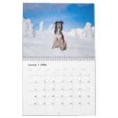 Calendrier Silken Windhounds 2021 Adultes 2 (Jan 2026)