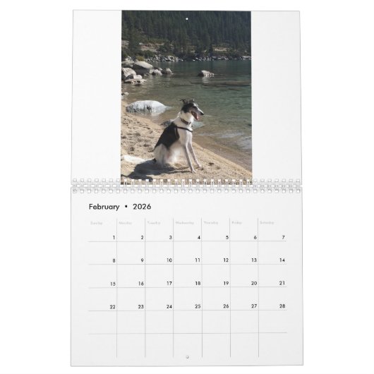 Calendrier Silken Windhounds 2021 - Amusement À La Plage (Feb 2026)