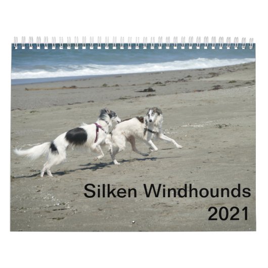 Calendrier Silken Windhounds 2021 - Amusement À La Plage (Protection)
