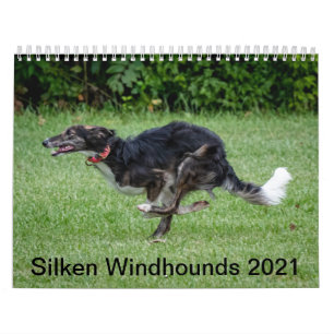 Calendrier Silken Windhounds 2021 en action