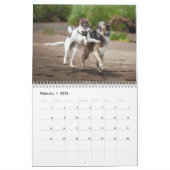 Calendrier Silken Windhounds 2021 en action (Feb 2026)