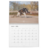 Calendrier Silken Windhounds 2021 en action (Mar 2026)