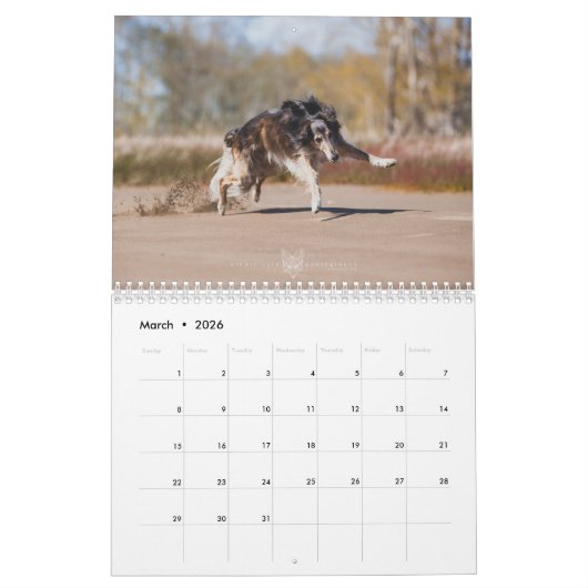 Calendrier Silken Windhounds 2021 en action (Mar 2026)