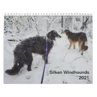 Silken Windhounds 2021 Multiples adultes