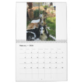 Calendrier Silken Windhounds 2021 Multiples adultes (Feb 2026)