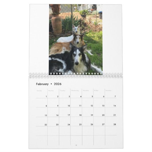 Calendrier Silken Windhounds 2021 Multiples adultes (Feb 2026)