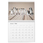 Calendrier Silken Windhounds 2021 par Vicky Groebl - Puppies  (Jan 2026)