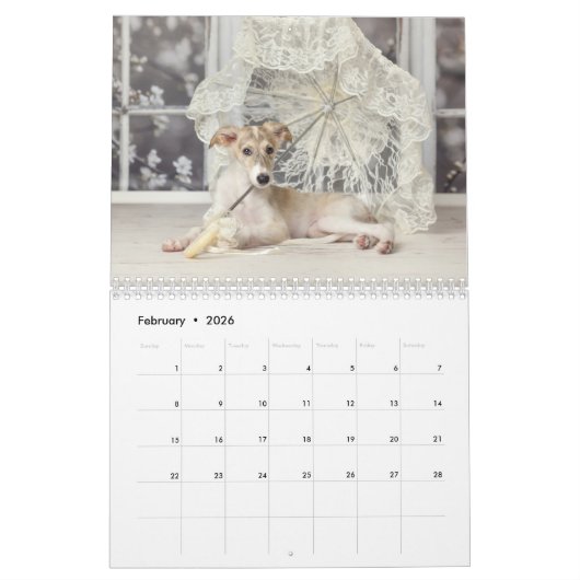 Calendrier Silken Windhounds 2021 par Vicky Groebl - Puppies (Feb 2026)