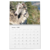 Calendrier Silken Windhounds 2021 - Tirs de tête (Jan 2027)