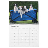 Calendrier Silken Windhounds 2022 (Chiots) (Jan 2027)