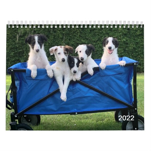 Calendrier Silken Windhounds 2022 (Chiots) (Protection)