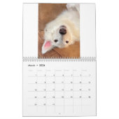 Calendrier Silken Windhounds 2022 (habillé/sot) (Mar 2026)