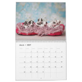 Calendrier Silken Windhounds par Vicky Groebl Puppies 1-2 (Mar 2027)