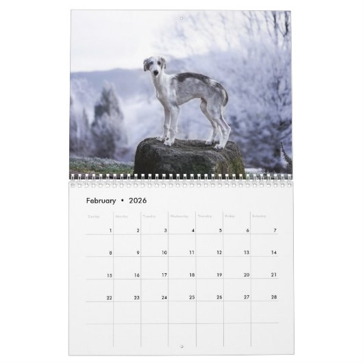 Calendrier Silken Windhounds par Vicky Groebl Puppies 1-2 (Feb 2026)