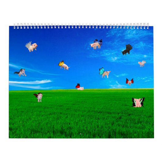 Calendrier Silly Animal Pictures (Protection)