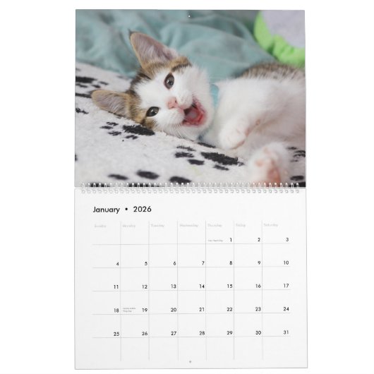 Calendrier Silver Parties scintillant Rose Gold Foil Monogram (Jan 2026)