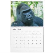 Calendrier Silverback 2026 (Mar 2026)