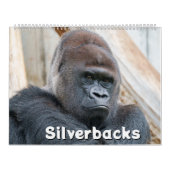 Calendrier Silverback 2026 (Protection)