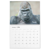 Calendrier Silverback 2026 (Jan 2026)