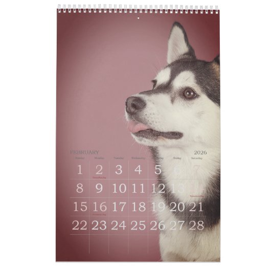 Calendrier Simple Jouer mignon et Whimsical année de CHIEN (Feb 2026)