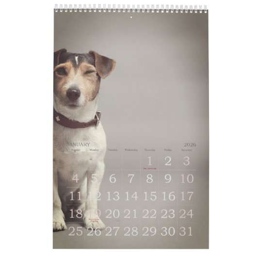 Calendrier Simple Jouer mignon et Whimsical année de CHIEN (Jan 2026)