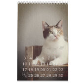 Calendrier Simple Jouer mignon et Whimsical CAT Année d'amour (Jan 2027)