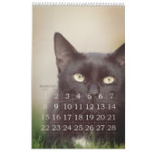 Calendrier Simple Jouer mignon et Whimsical CAT Année d'amour (Feb 2026)