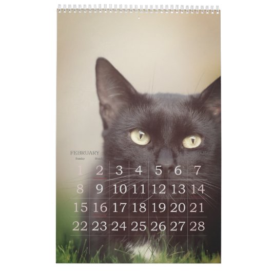 Calendrier Simple Jouer mignon et Whimsical CAT Année d'amour (Feb 2026)