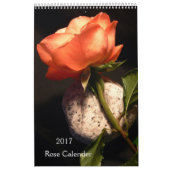 Calendrier simple rose 2017 (Protection)