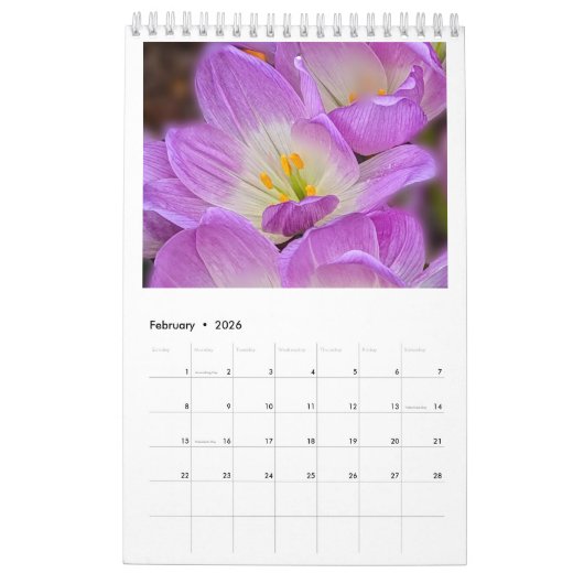 Calendrier Simply Beautiful : Nature Re-imaged Calendar (Feb 2026)