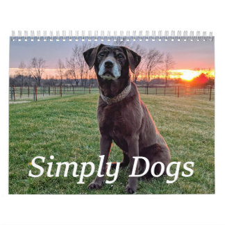 Calendrier Simply Dogs calendar
