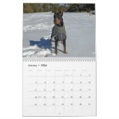 Calendrier Simply Dogs calendar (Jan 2026)