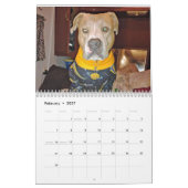 Calendrier Simply Dogs calendar (Feb 2027)