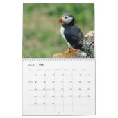 Calendrier Skomer Island Puffins 2021 Pays de Galles (Mar 2026)